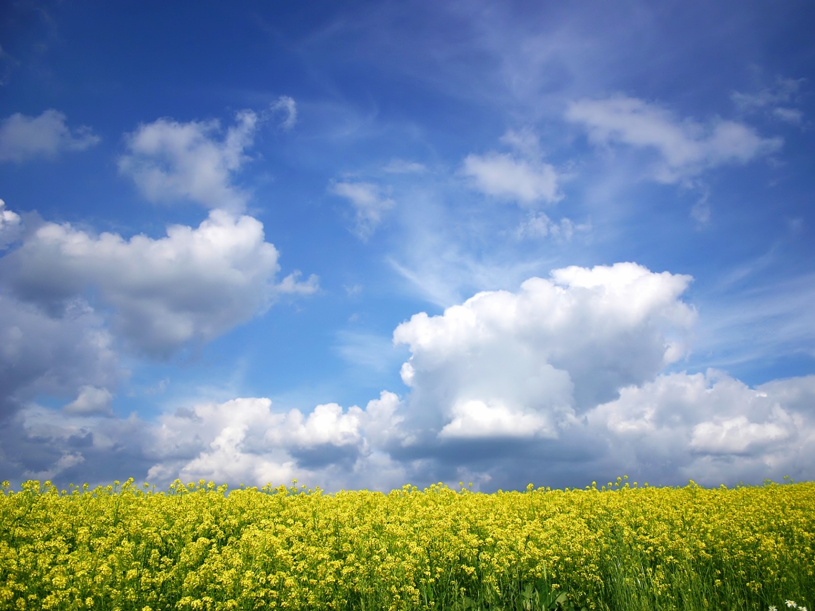 clouds (4)